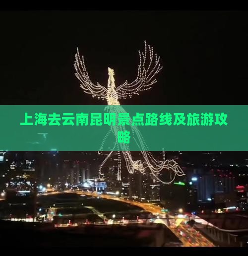 上海去云南昆明景点路线及旅游攻略
