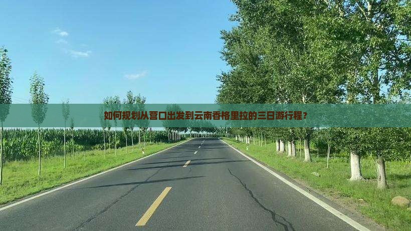 如何规划从营口出发到云南香格里拉的三日游行程？
