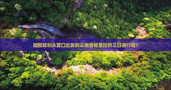 如何规划从营口出发到云南香格里拉的三日游行程？