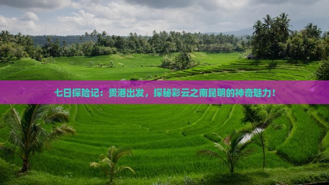七日探险记：贵港出发，探秘彩云之南昆明的神奇魅力！