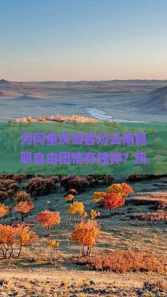 为何重庆游客对云南昆明自由团情有独钟？热门痛点，探寻自由行新趋势！
