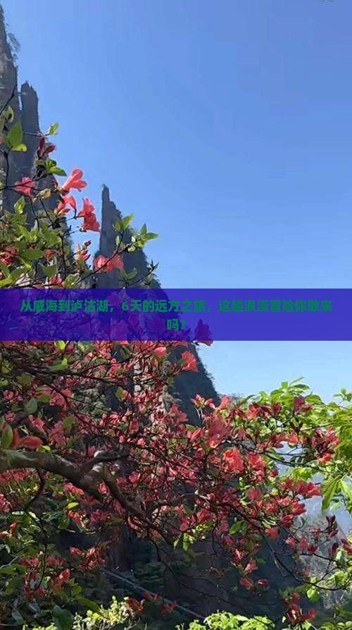 从威海到泸沽湖，6天的远方之旅，这趟浪漫冒险你敢来吗？
