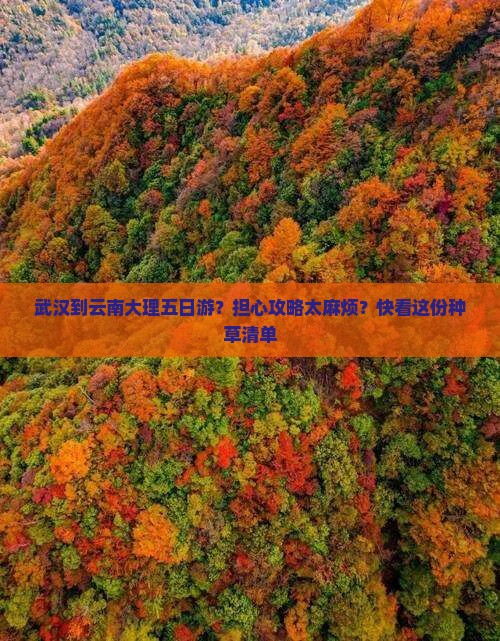 武汉到云南大理五日游？担心攻略太麻烦？快看这份种草清单