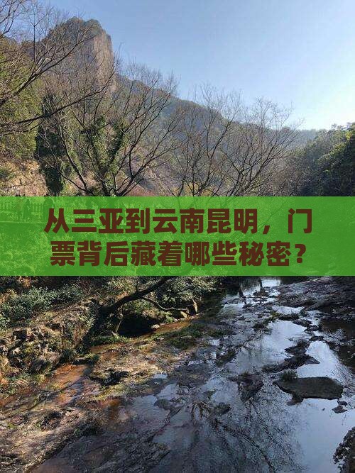 从三亚到云南昆明，门票背后藏着哪些秘密？