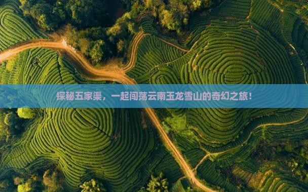探秘五家渠，一起闯荡云南玉龙雪山的奇幻之旅！