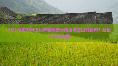 #3个理由为何选我带爸妈去云南玉龙雪山六日游？超值攻略抢先看