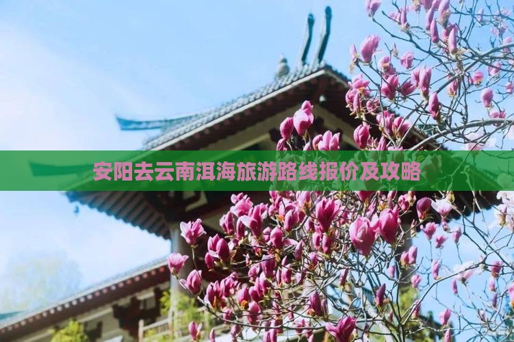 安阳去云南洱海旅游路线报价及攻略