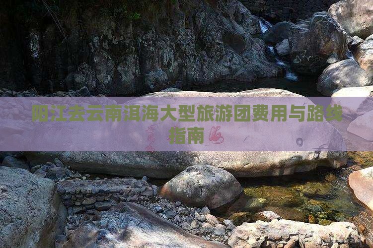 阳江去云南洱海大型旅游团费用与路线指南
