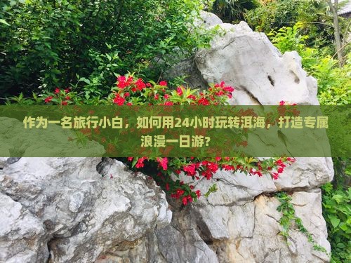 作为一名旅行小白，如何用24小时玩转洱海，打造专属浪漫一日游？