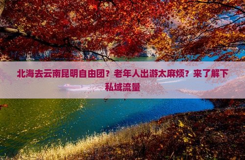 北海去云南昆明自由团？老年人出游太麻烦？来了解下私域流量