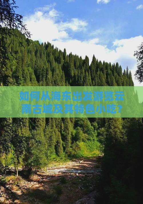 如何从海东出发游览云南古城及其特色小吃？