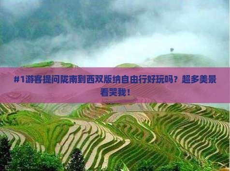 #1游客提问陇南到西双版纳自由行好玩吗？超多美景看哭我！