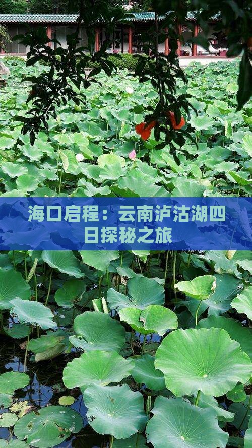海口启程：云南泸沽湖四日探秘之旅