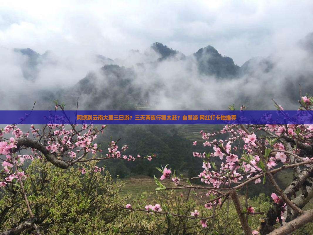 阿坝到云南大理三日游？三天两夜行程太赶？自驾游+网红打卡地推荐