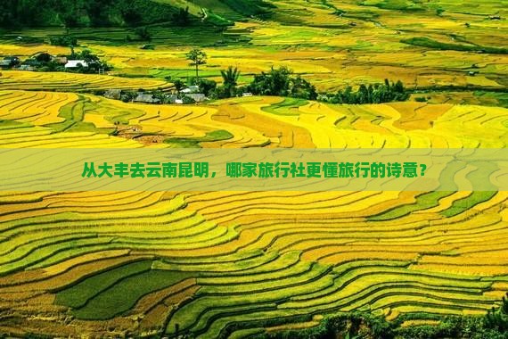 从大丰去云南昆明，哪家旅行社更懂旅行的诗意？