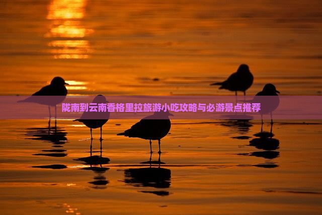 陇南到云南香格里拉旅游小吃攻略与必游景点推荐