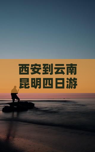 西安到云南昆明四日游含费用明细化导游服务