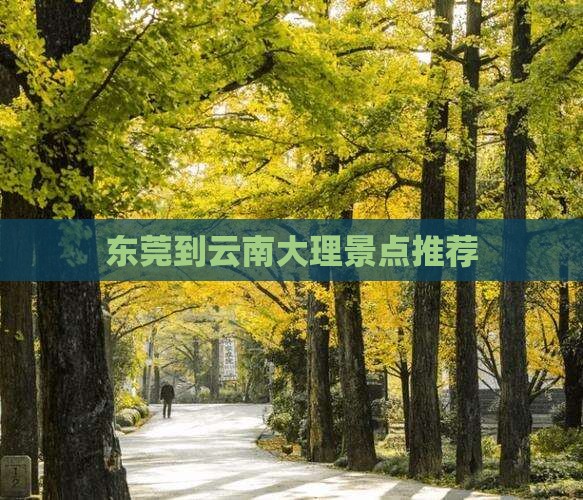 东莞到云南大理景点推荐
