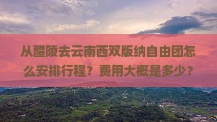 从醴陵去云南西双版纳自由团怎么安排行程？费用大概是多少？需要注意什么？