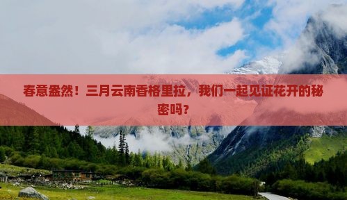 春意盎然！三月云南香格里拉，我们一起见证花开的秘密吗？