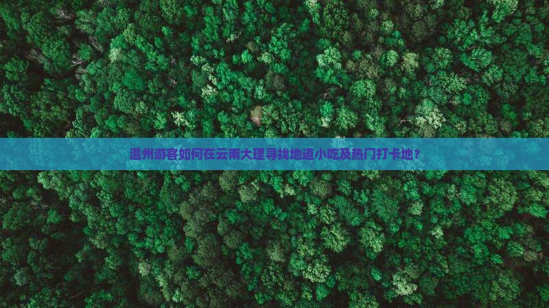 温州游客如何在云南大理寻找地道小吃及热门打卡地？