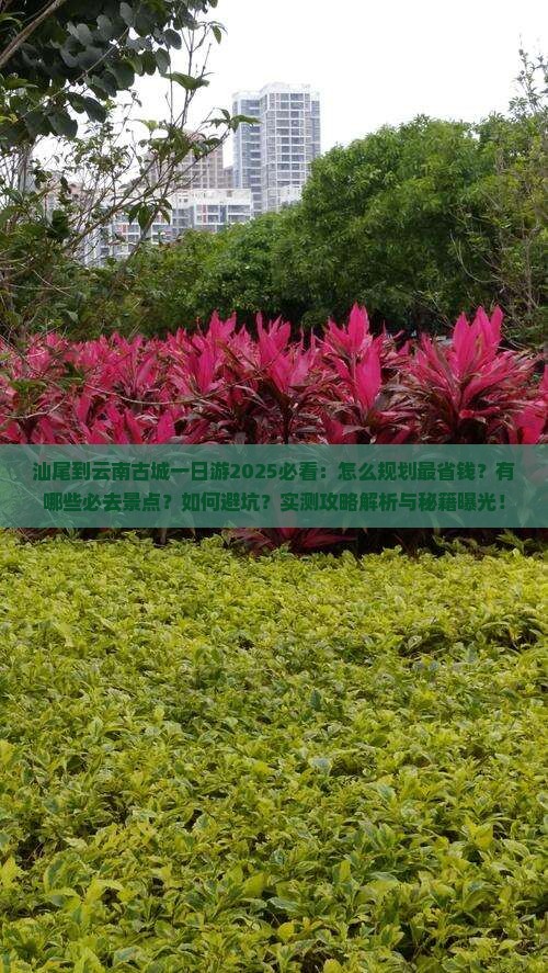 汕尾到云南古城一日