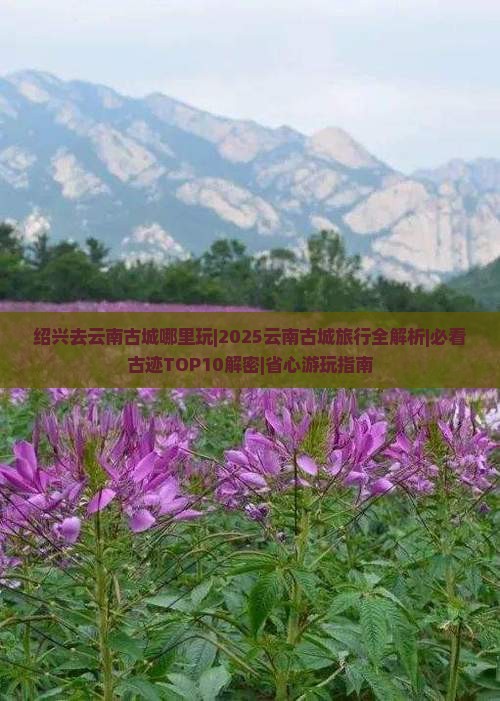 绍兴去云南古城哪里玩
