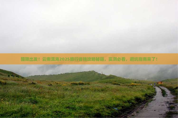 醴陵到云南洱海旅行社