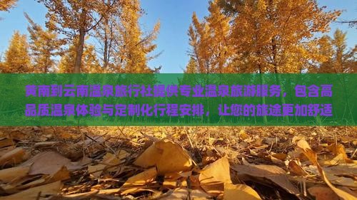 黄南到云南温泉旅行社