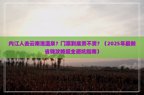 内江去云南温泉门票 内江去云南温泉门票