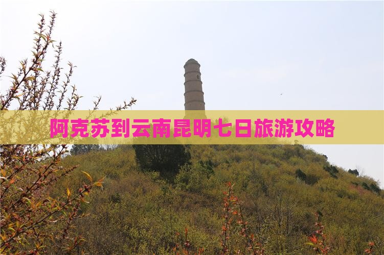 阿克苏去云南昆明七日游