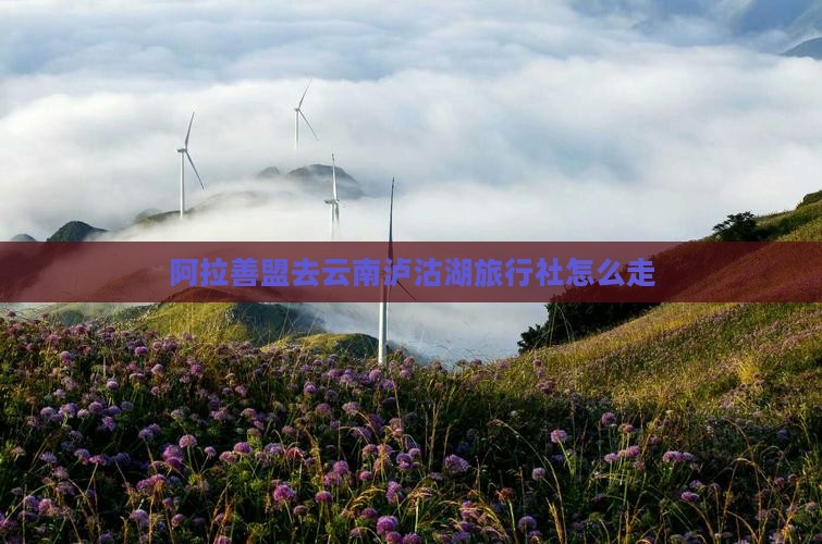 阿拉善盟去云南泸沽湖旅行社