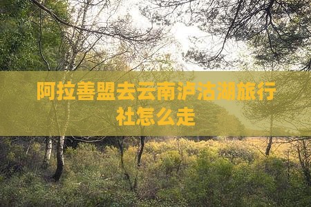 阿拉善盟去云南泸沽湖旅行社
