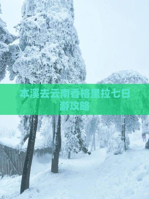 本溪去云南香格里拉七日游