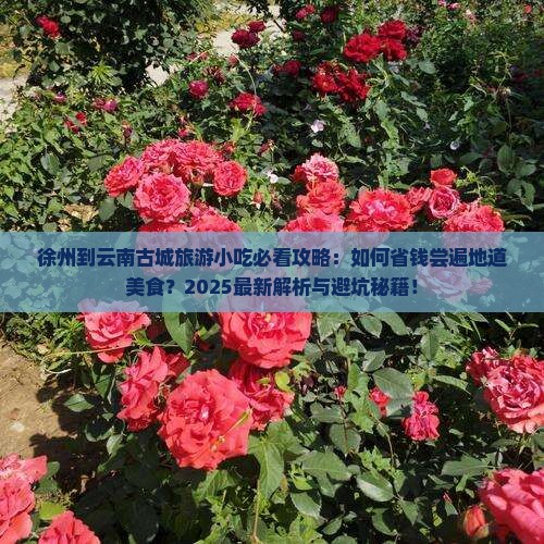徐州到云南古城旅游小吃