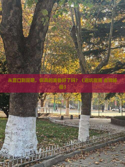 营口到云南昆明旅游
