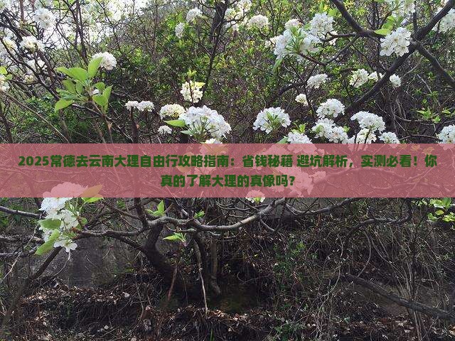 常德去云南大理自由行