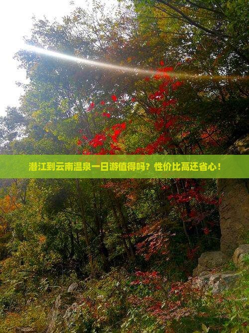 潜江到云南温泉一日