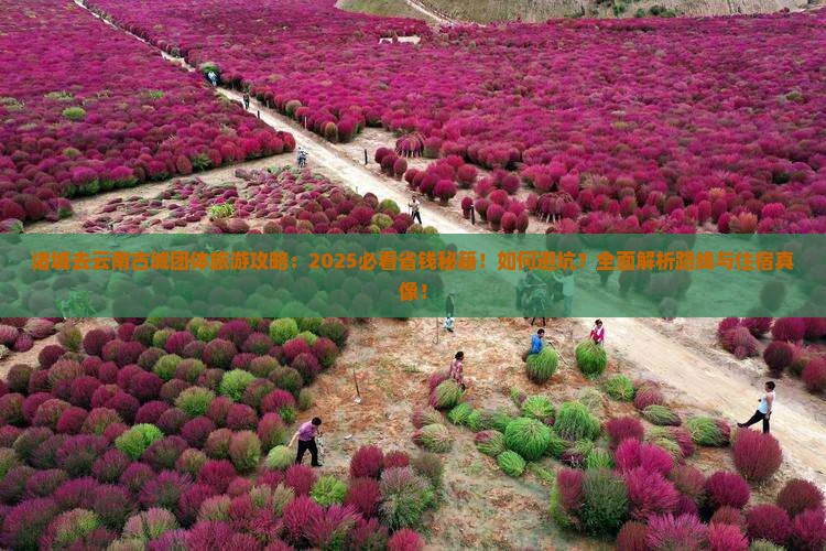 诸城去云南古城团体旅游