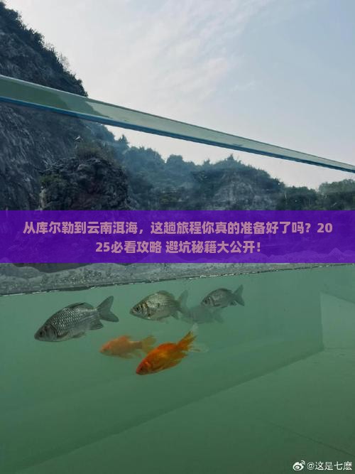 库尔勒到云南洱海攻略