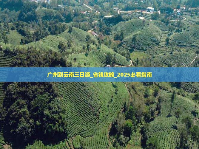 广州到云南三日游