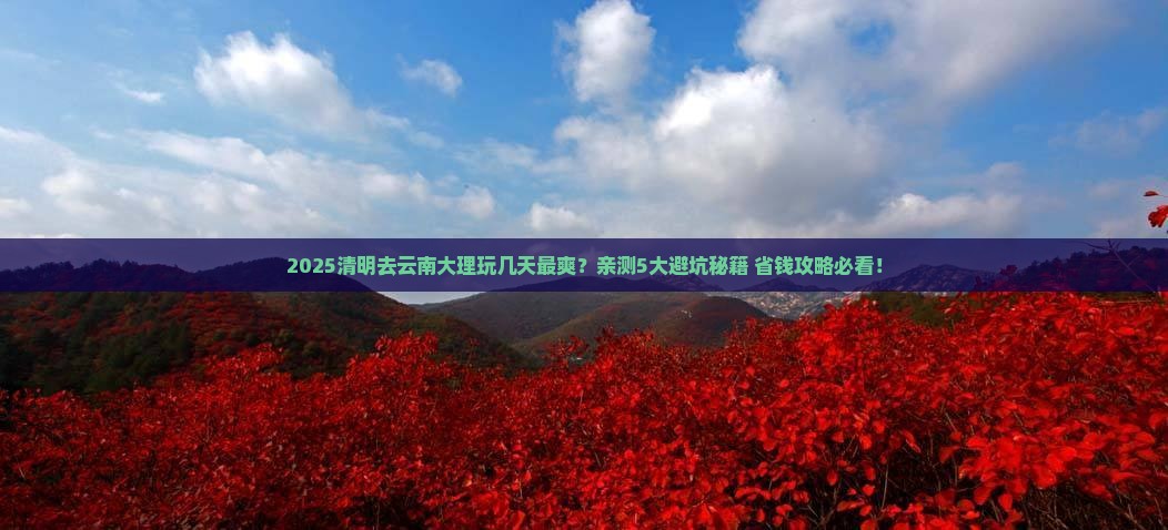 清明节到云南大理攻略