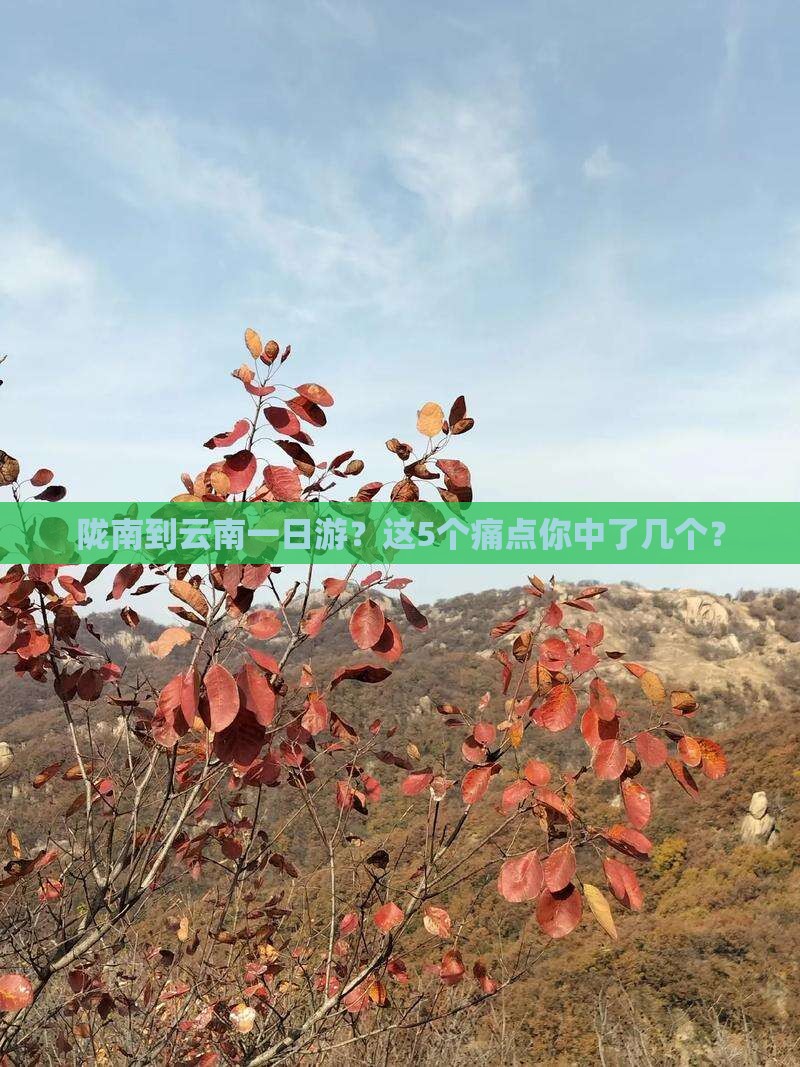 陇南到云南一日