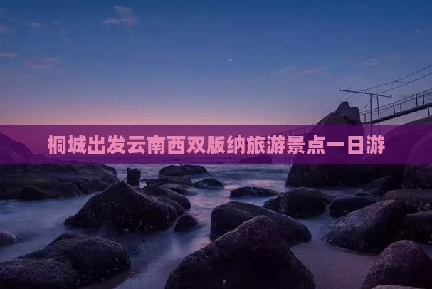 桐城去云南西双版纳一日