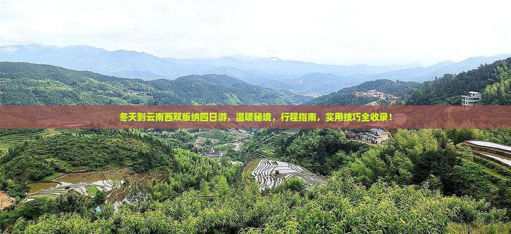 冬天到云南西双版纳四日游