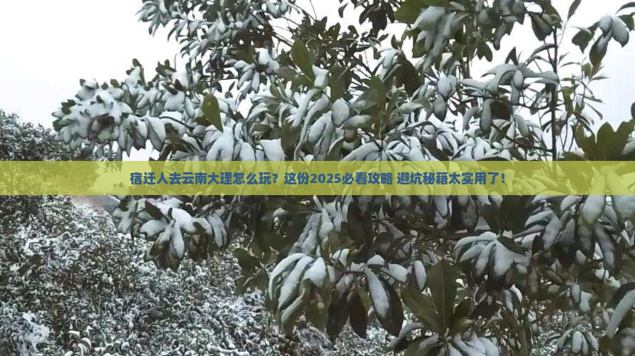 宿迁去云南大理团体旅游