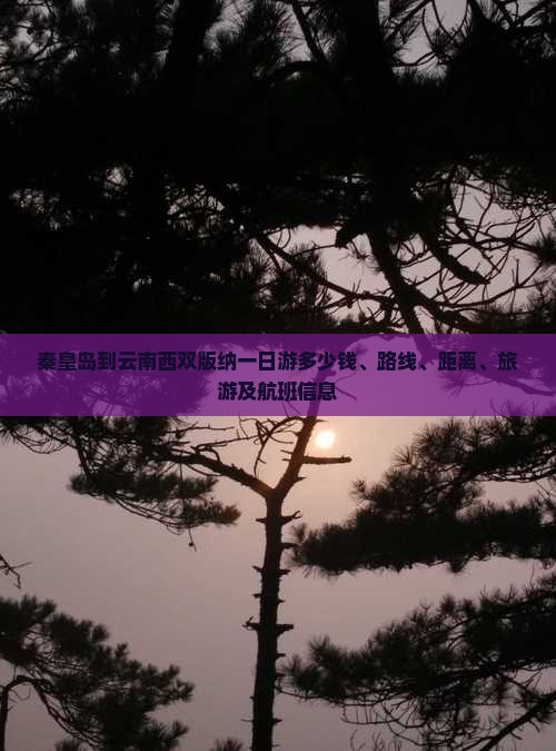秦皇岛到云南西双版纳一日