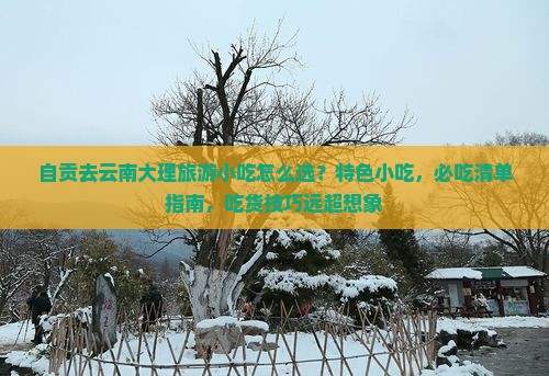自贡去云南大理旅游小吃