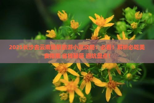 长沙去云南昆明旅游小吃