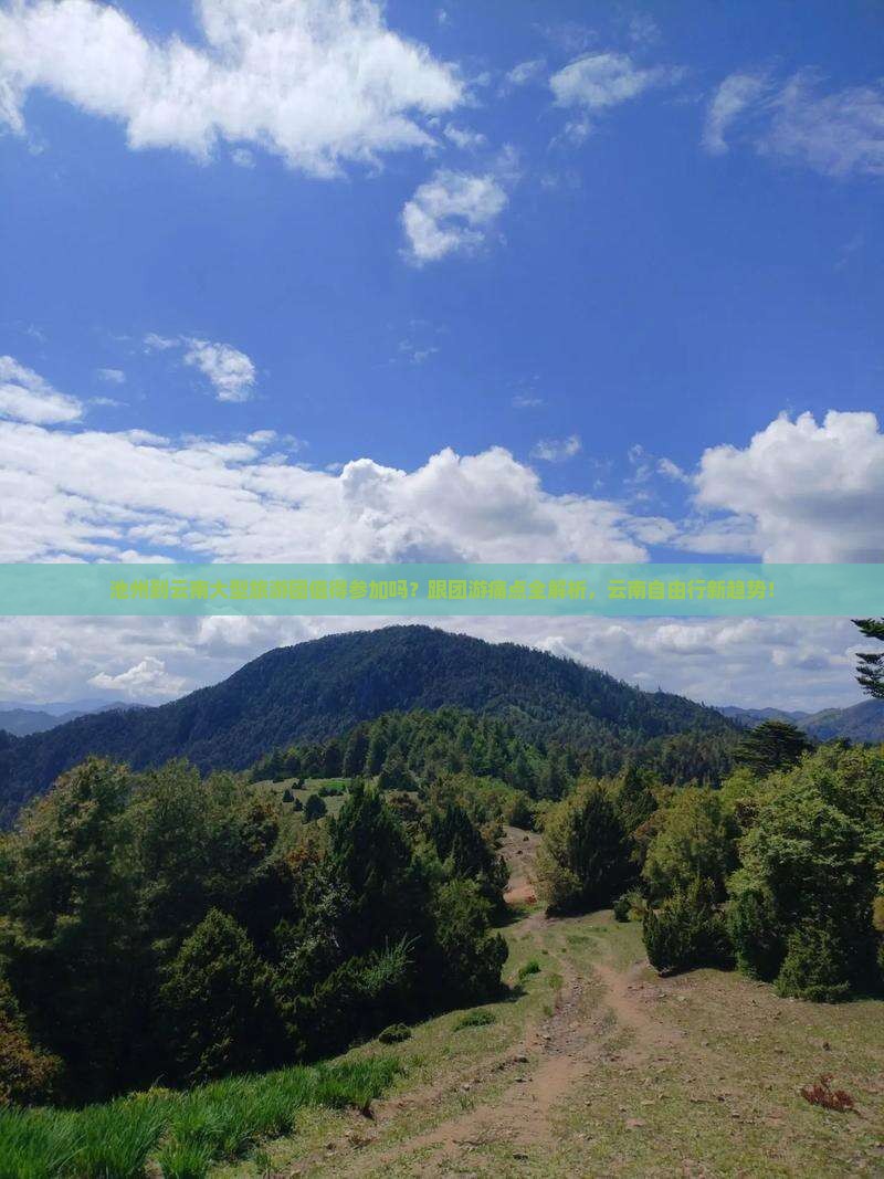池州到云南大型旅游团
